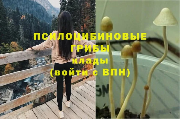 Альфа ПВП Балабаново